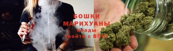 ГАЛЛЮЦИНОГЕННЫЕ ГРИБЫ Михайлов