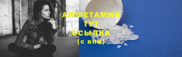 ГАЛЛЮЦИНОГЕННЫЕ ГРИБЫ Михайлов