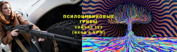 ГАЛЛЮЦИНОГЕННЫЕ ГРИБЫ Михайлов
