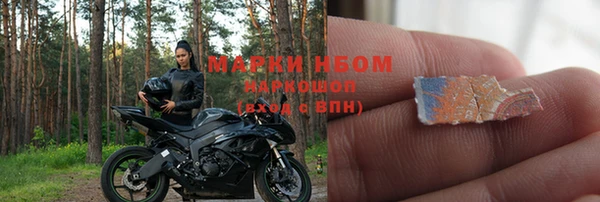 гашик Новокубанск