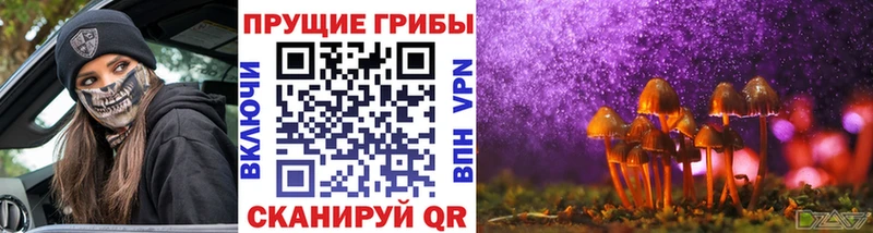 Галлюциногенные грибы Magic Shrooms  закладки  Нижние Серги 